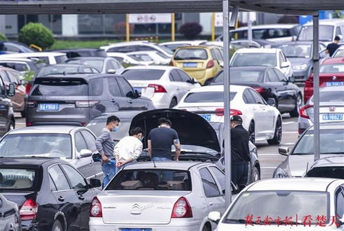 策划编故事收割网络流量 当心直播平台上的二手车商玩巧